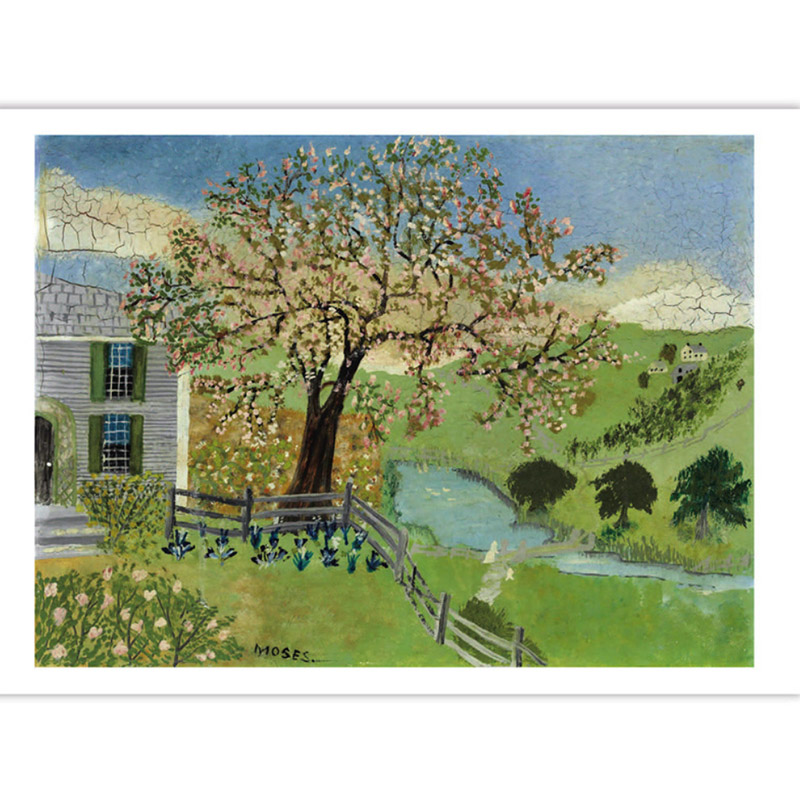 Cartes de vœux Vintage, 32 piè - Collectible Vintage Greeting Cards avis et prix